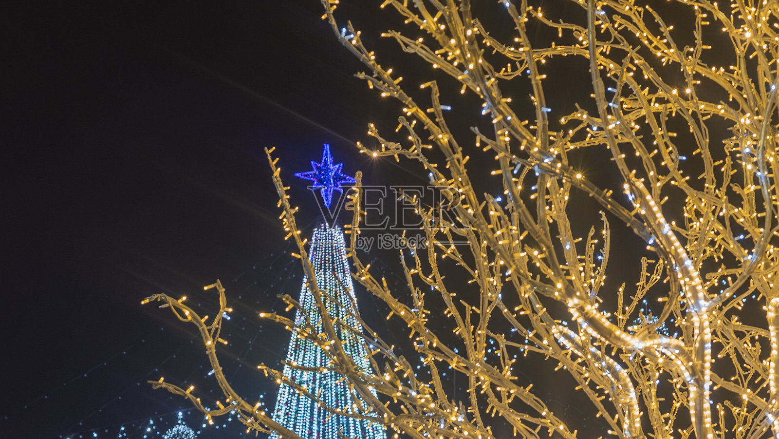 抽象的圣诞树和节日街道上的花环灯照明不集中。假期的概念。晚上的照片。照片摄影图片