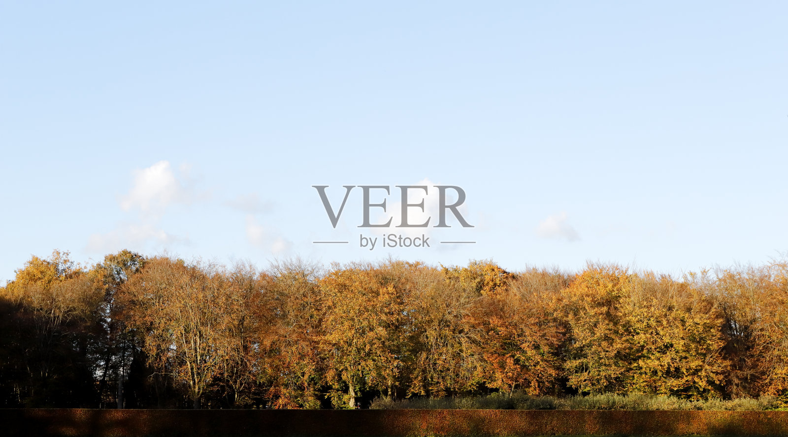 秋天的颜色-公园Groeneveld(荷兰)照片摄影图片