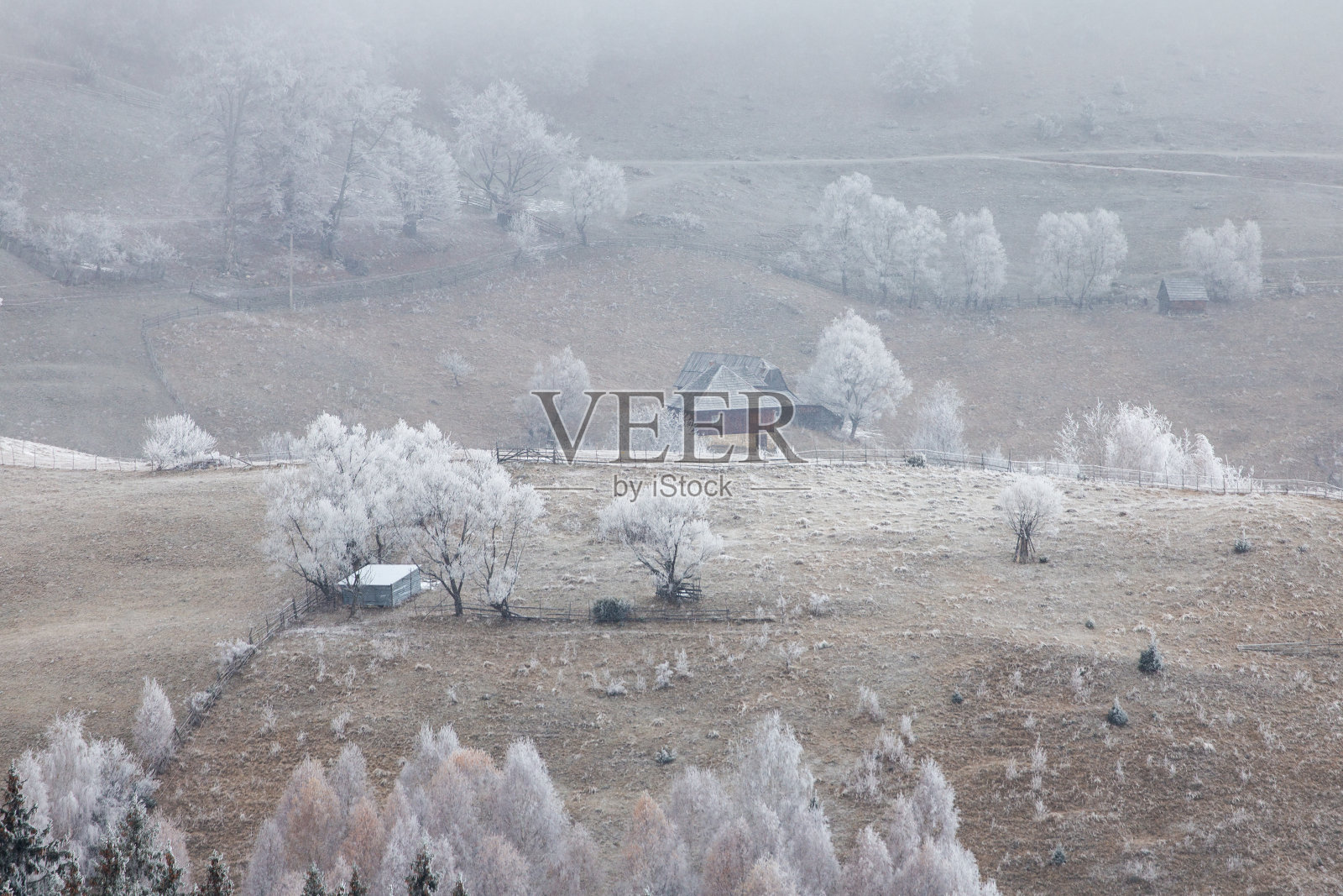 冬天寒冷的风景，美丽的特兰西瓦尼亚村庄，Pestera，与新鲜的雪照片摄影图片