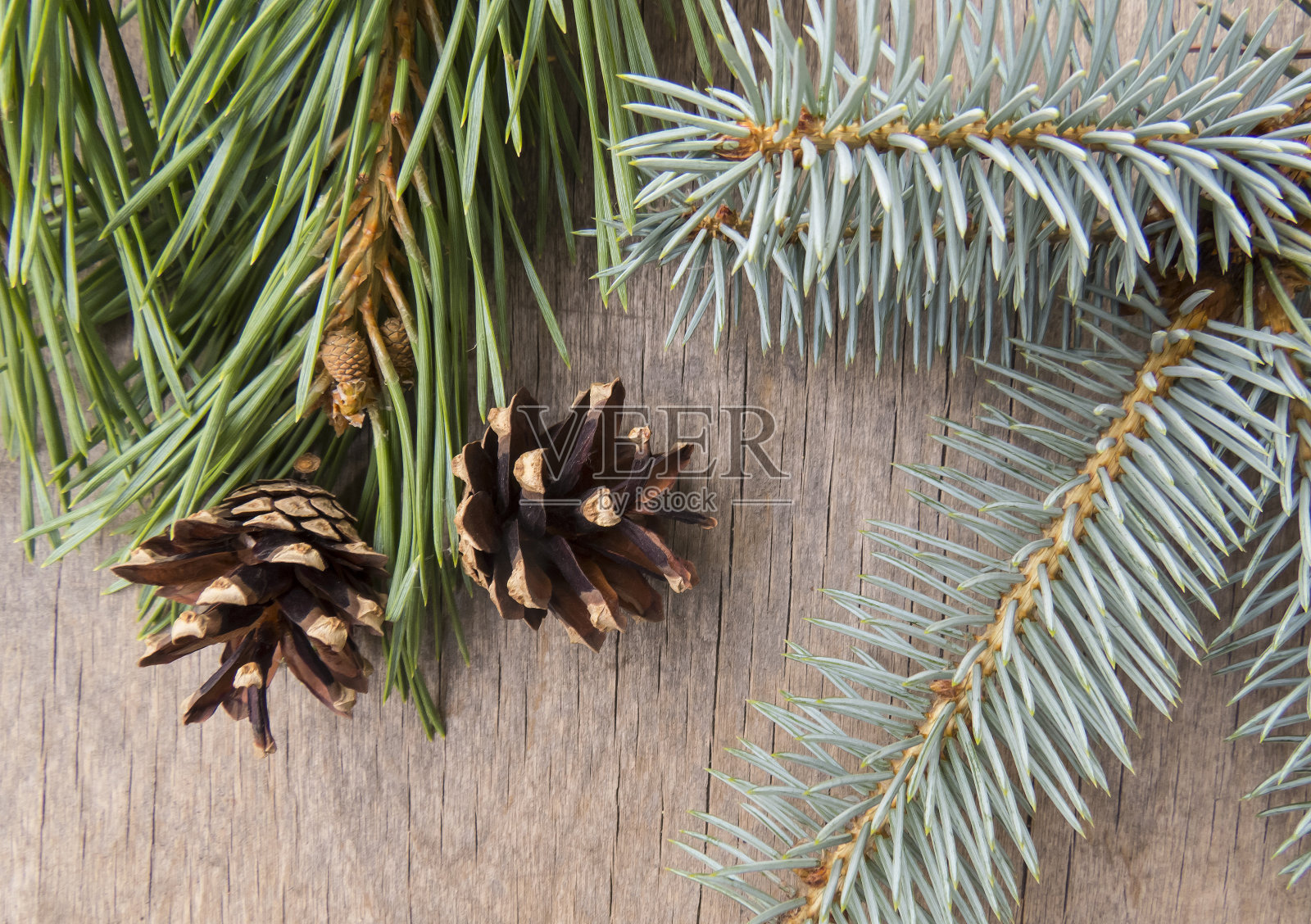 木背景上的松果。照片摄影图片