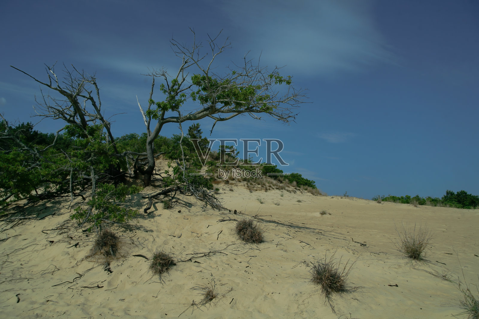 骑师岭州立公园，外班克斯，北卡罗来纳州照片摄影图片