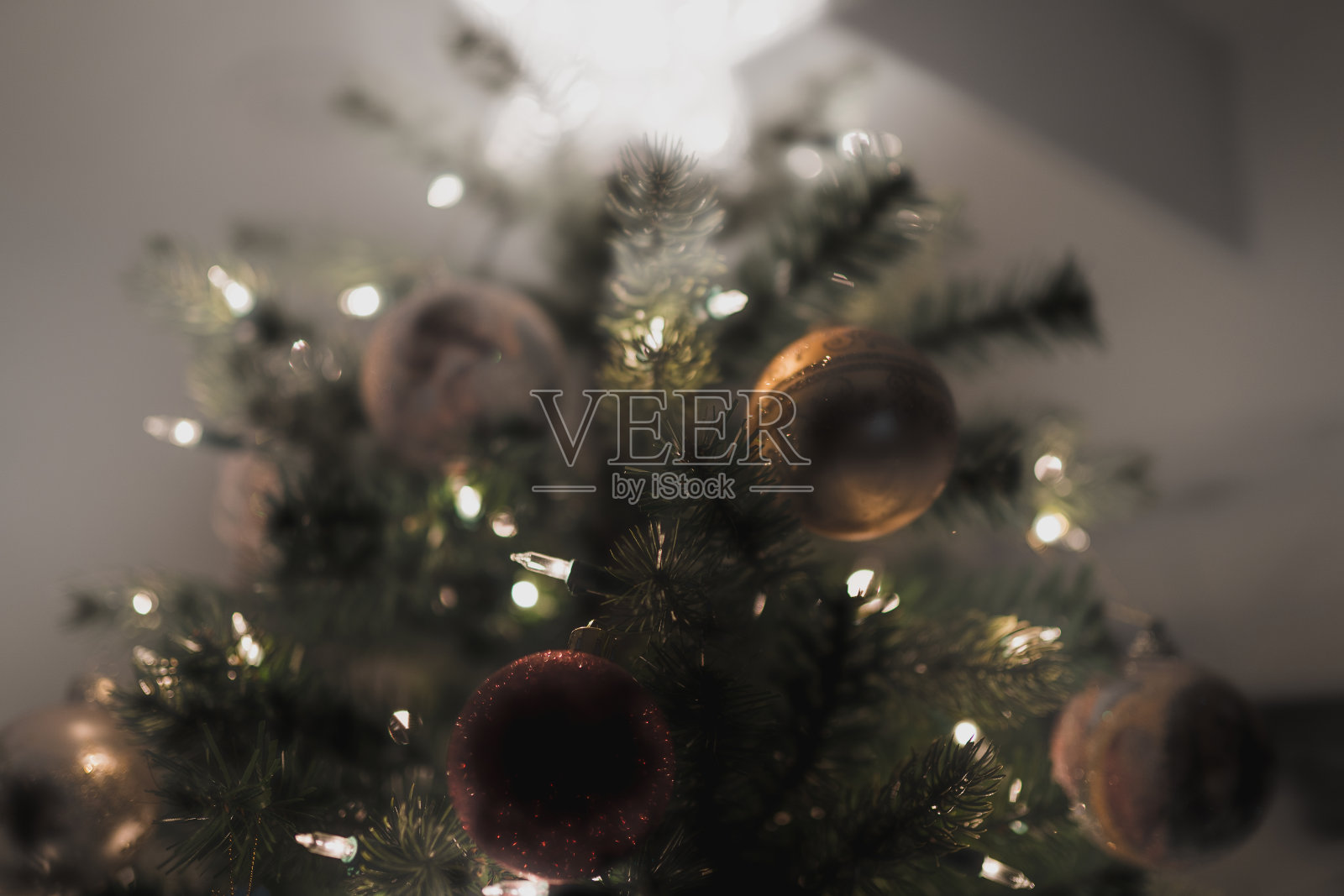 圣诞树照片摄影图片