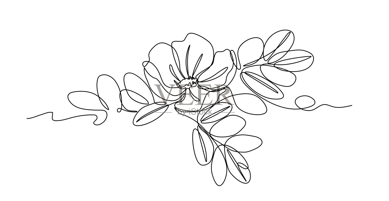 野玫瑰的花(带叶)，带刺灌木的元素，装饰，标志图案插画图片素材