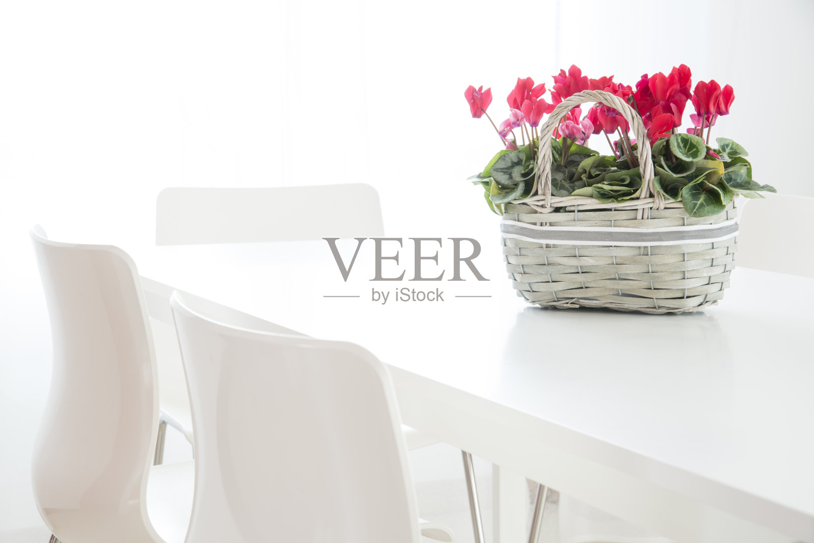 白色的桌子上放着一篮仙客来照片摄影图片