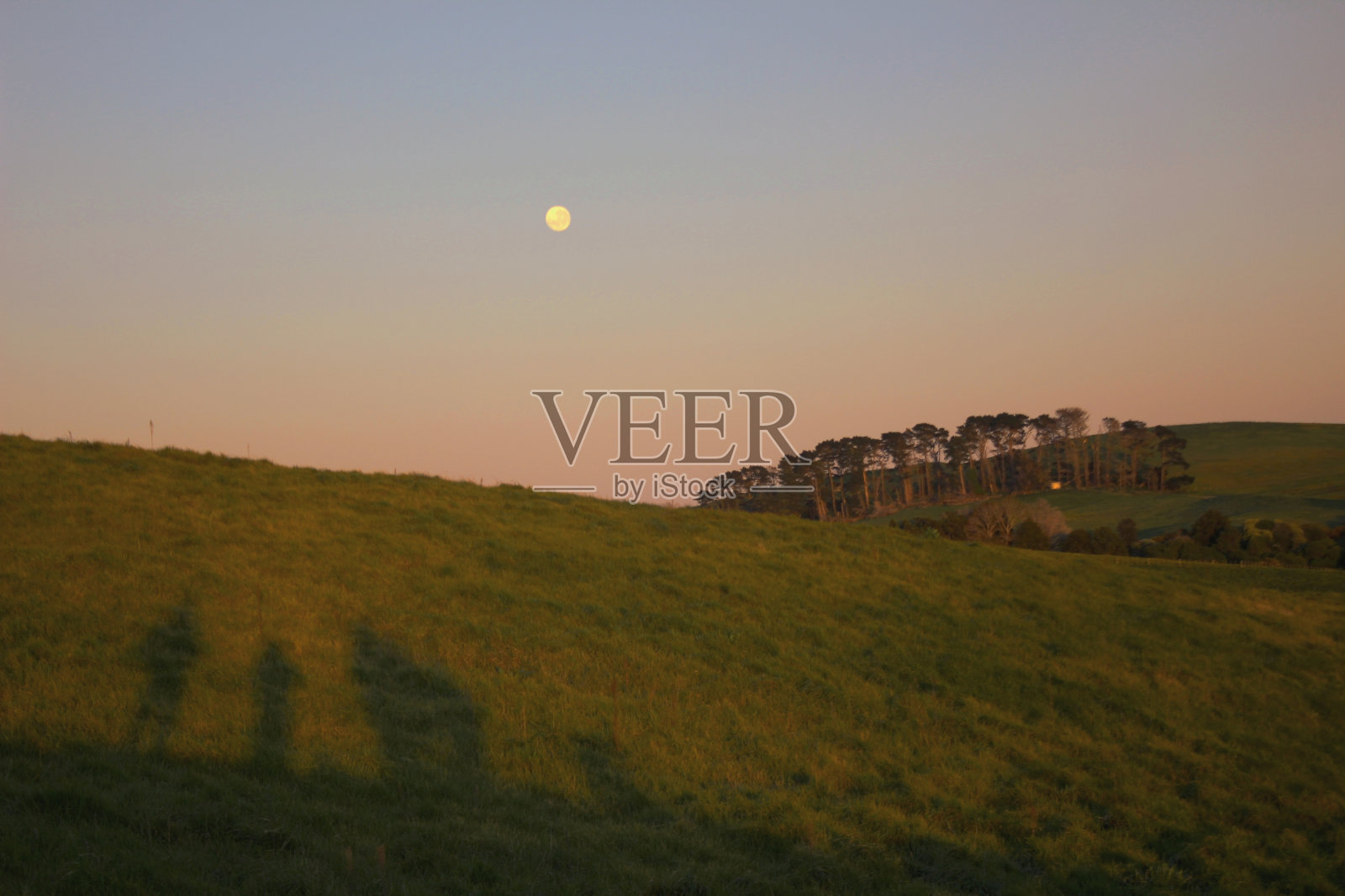 影子与月亮照片摄影图片