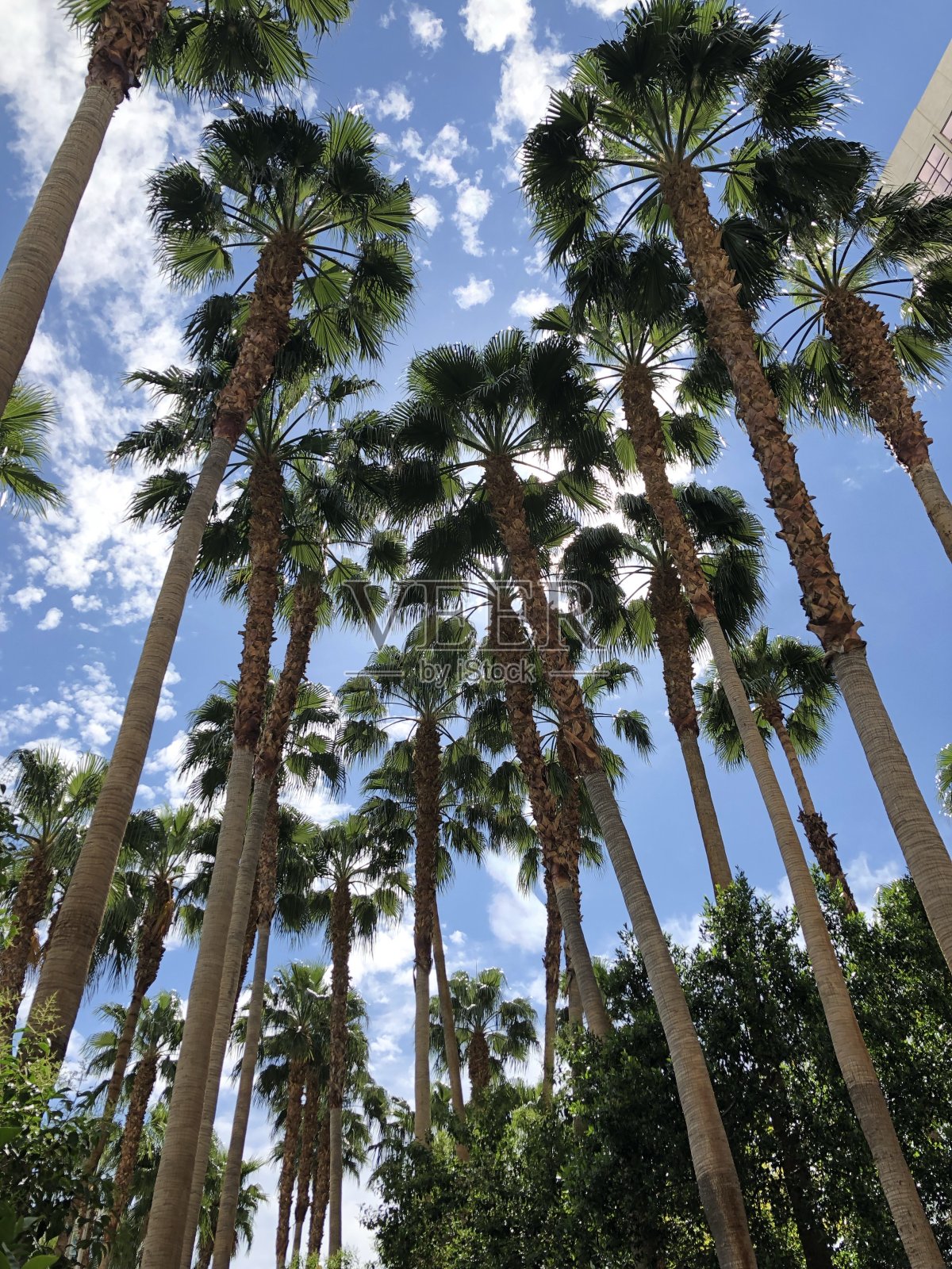 长岛照片摄影图片