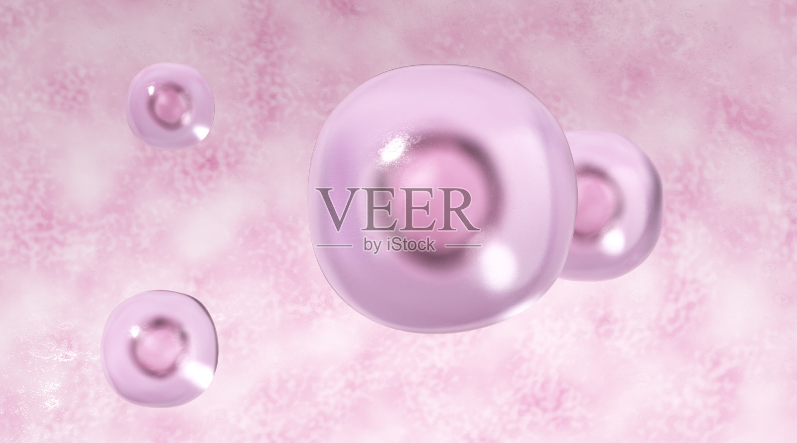 人类干细胞照片摄影图片