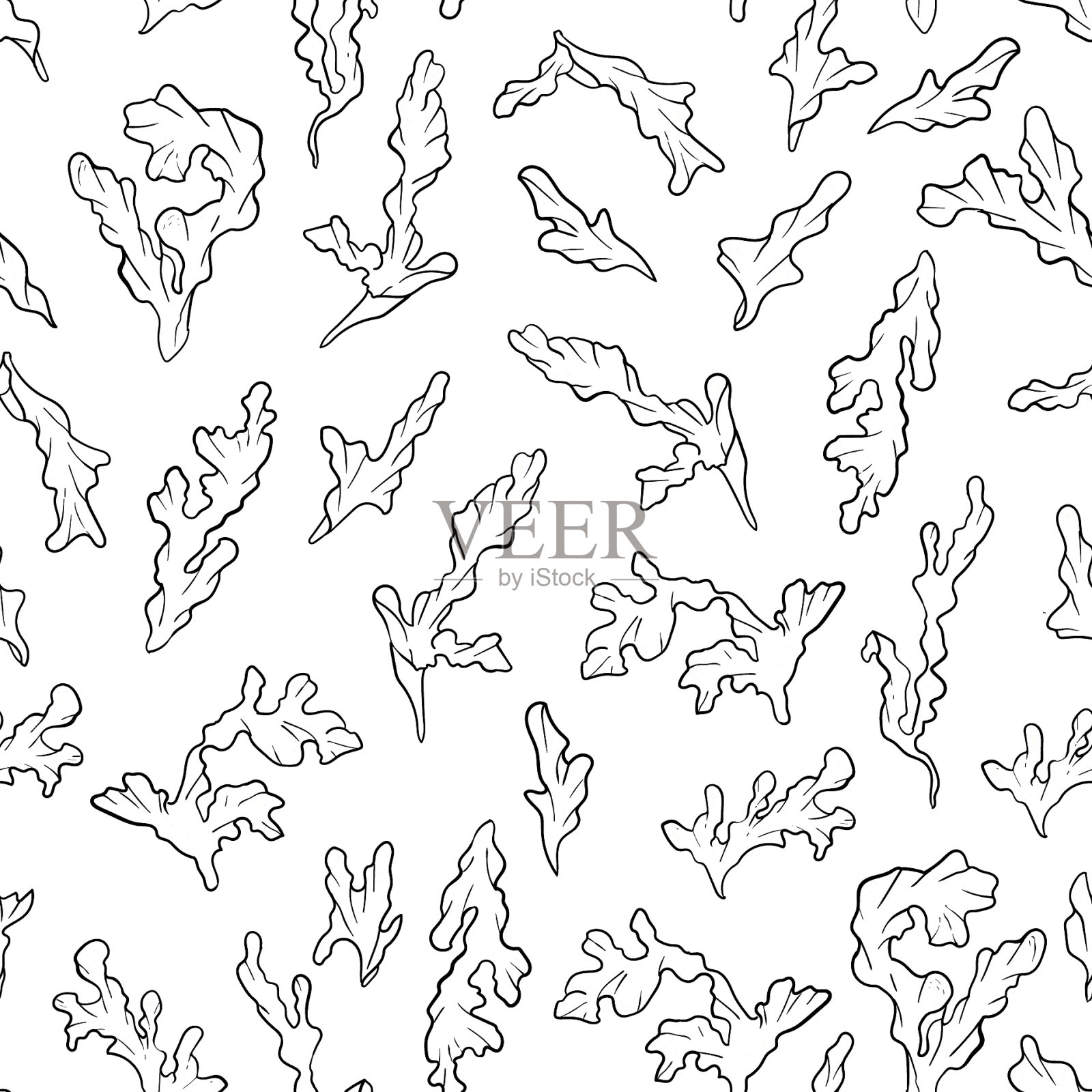 无缝图案与美丽的藻类着色页插画图片素材