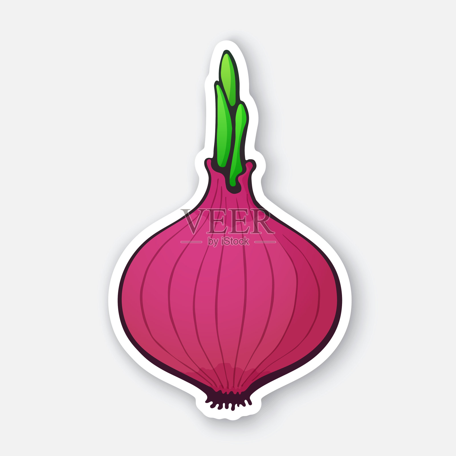 贴球茎红洋葱绿芽插画图片素材