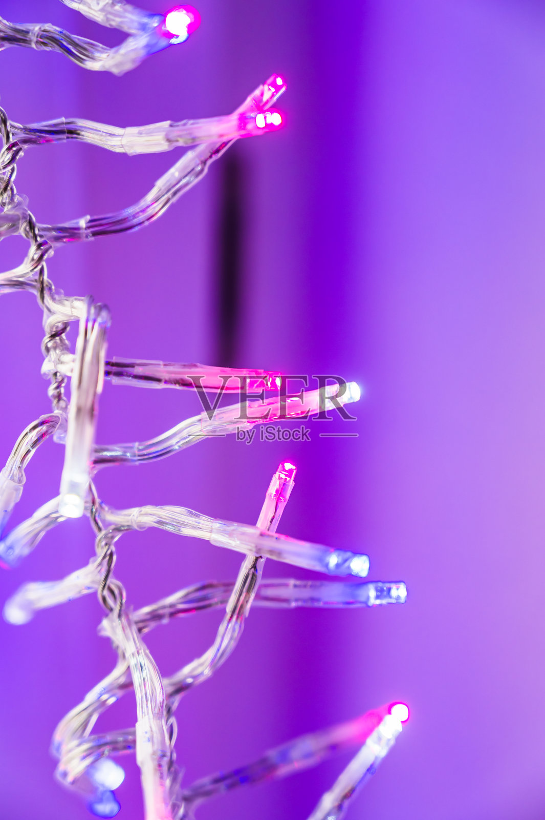 这是一个圣诞树的特写镜头，led灯孤立在一个朴素的背景上照片摄影图片