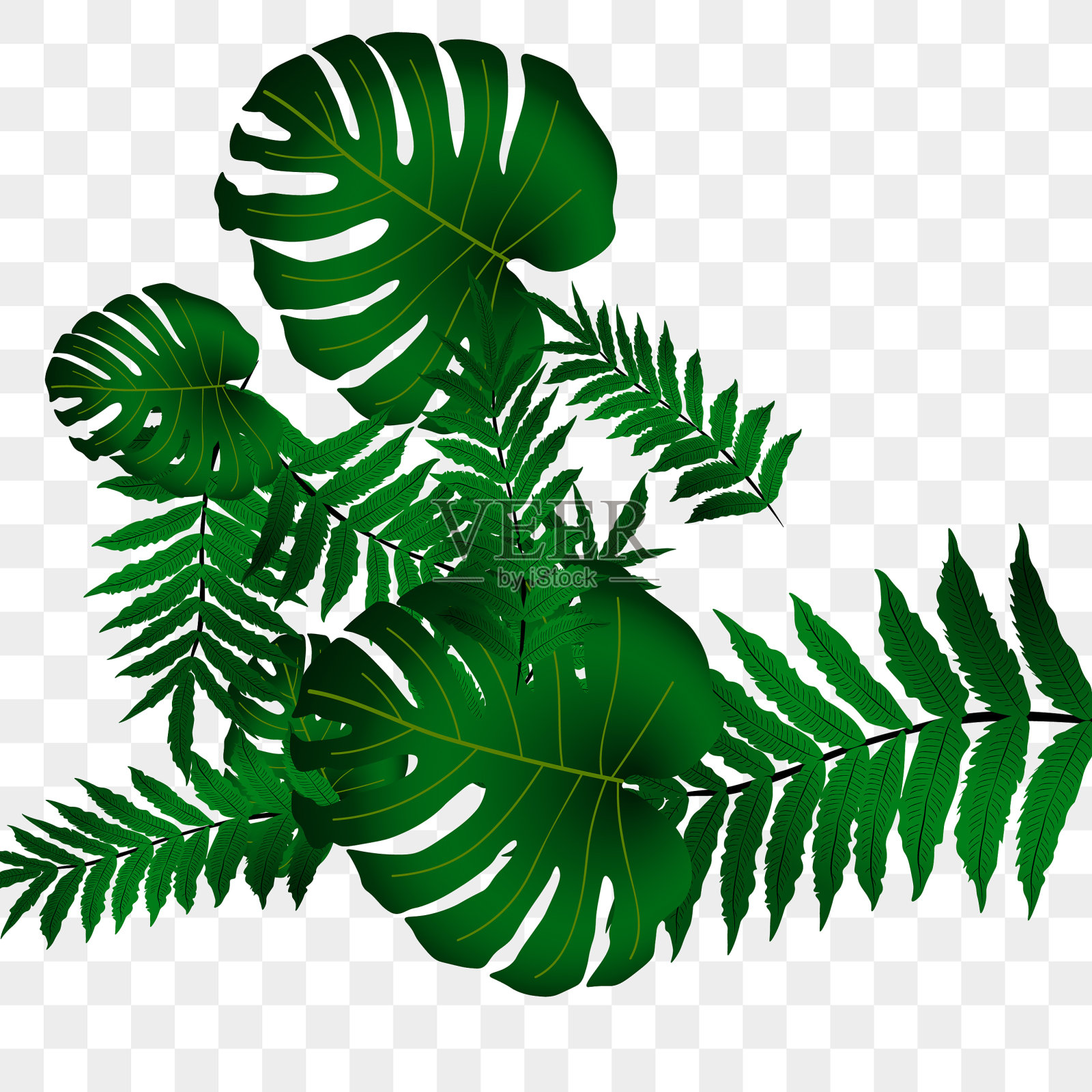 热带模式插画图片素材