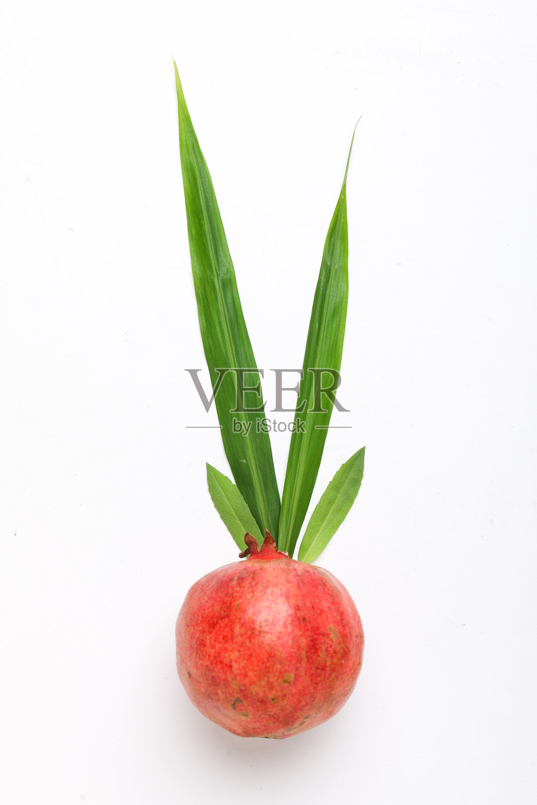 鲜嫩的石榴果，白色底色，绿叶照片摄影图片