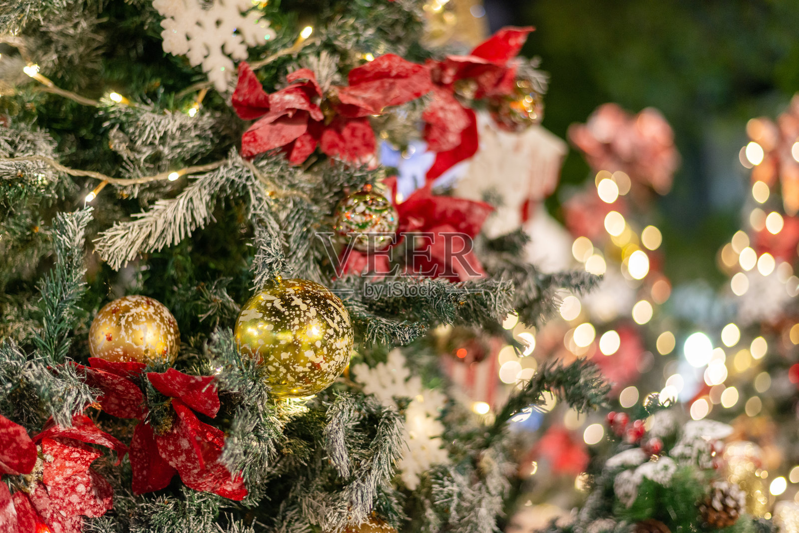 圣诞舞会在霜冻的夜晚照片摄影图片