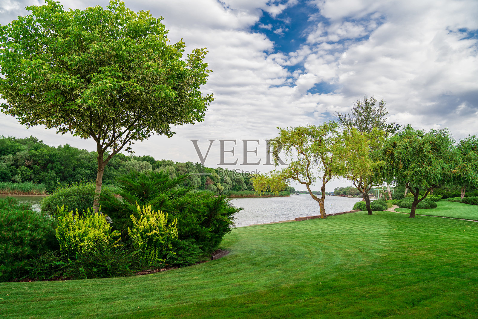 夏天河边修剪过的草坪。景观设计。照片摄影图片