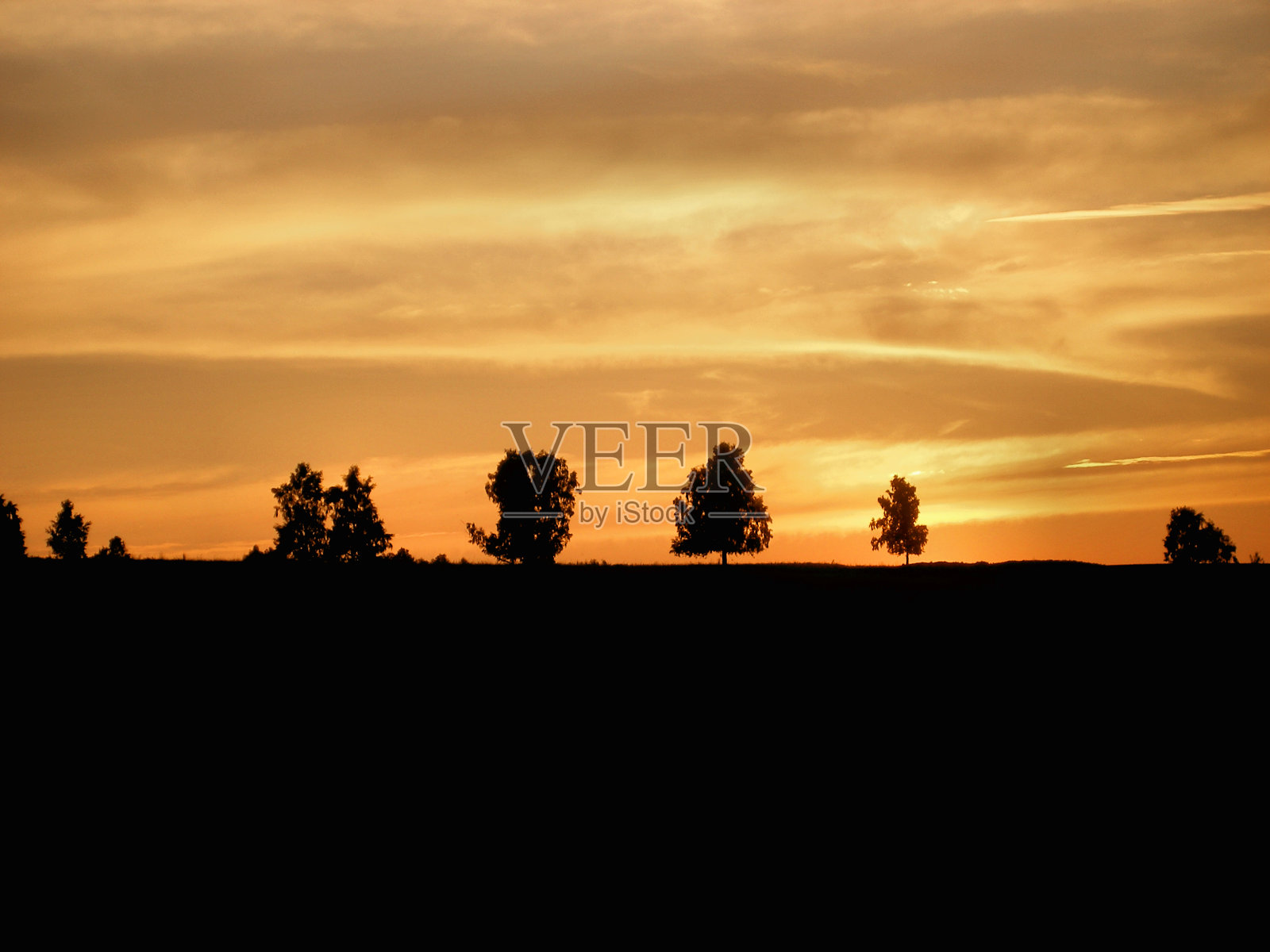 橙色的日落天空，树木和地平线的黑色剪影照片摄影图片