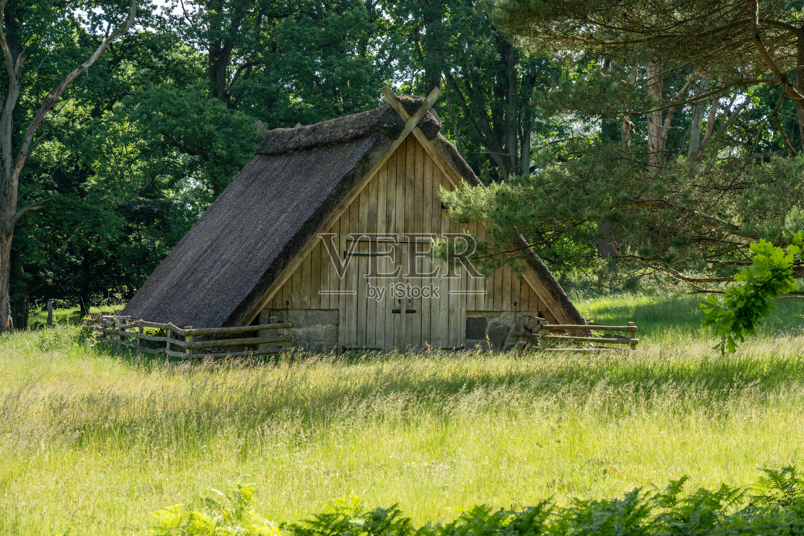 在自然保护区Lueneburger Heide，一个带稻草屋顶的德国高沼地羊的特色马厩照片摄影图片