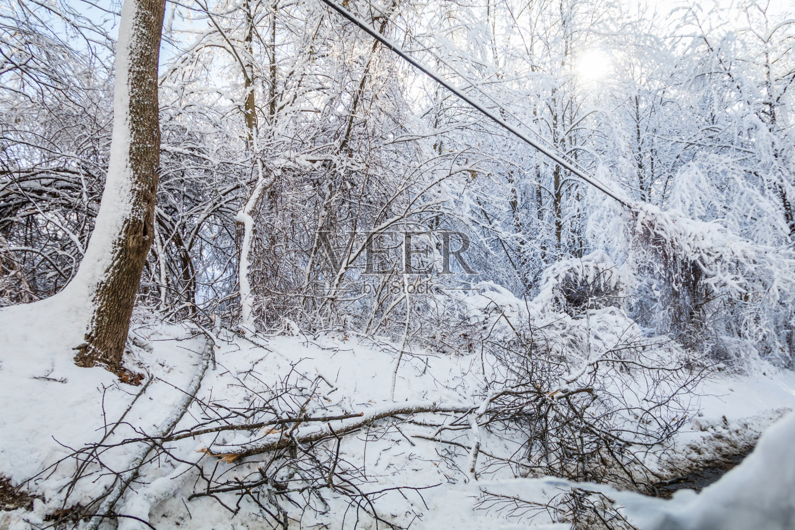 冬季暴风雪造成的电线倒塌照片摄影图片