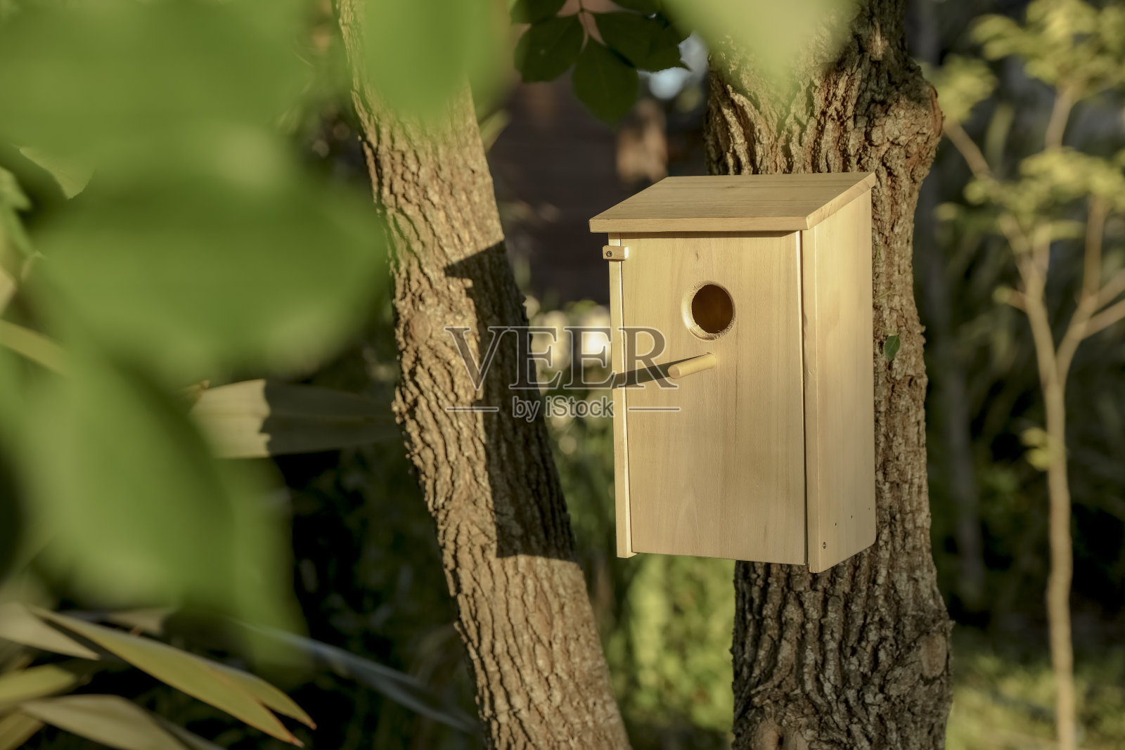 为野地树上的鸟儿建造的木屋照片摄影图片