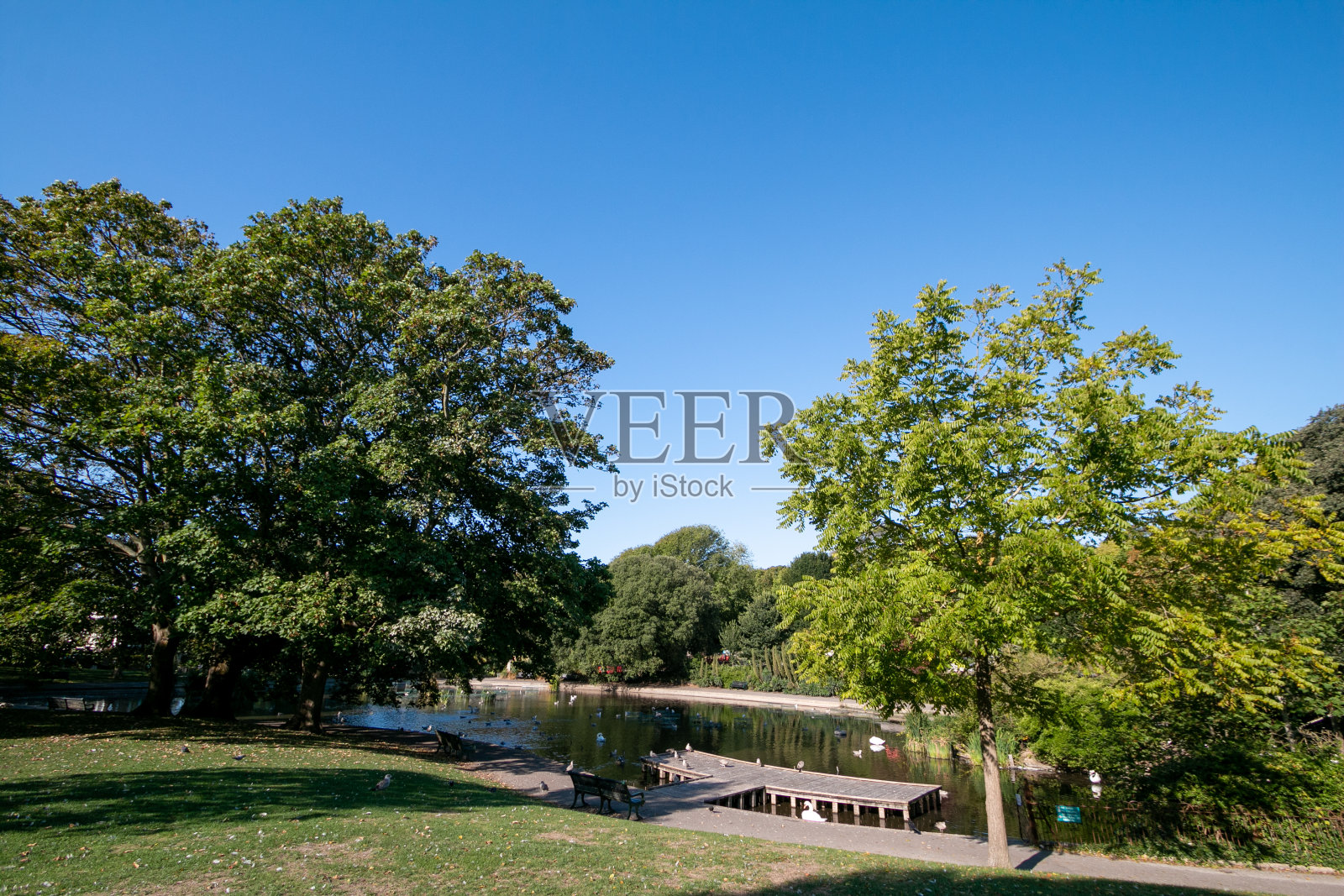 英国布莱顿女王公园照片摄影图片