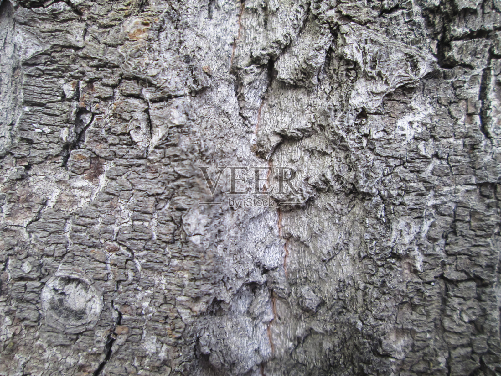 木制背景纹理。照片摄影图片