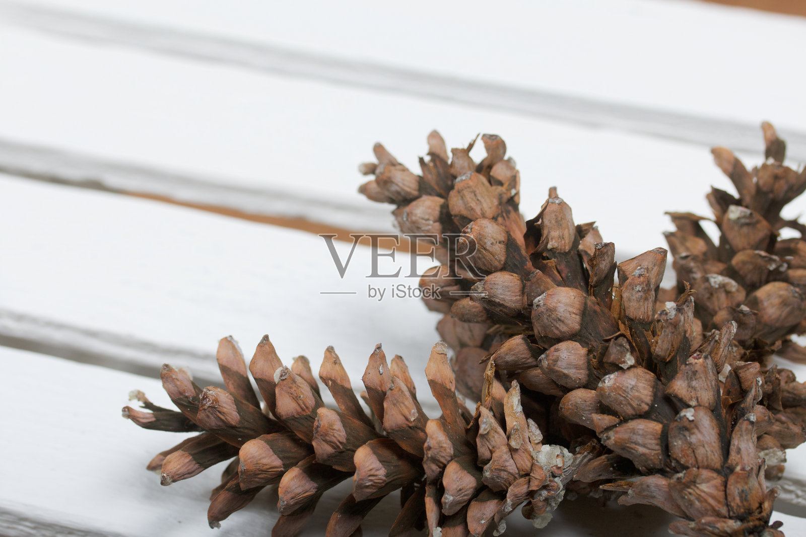 落叶松球果。在一个由白板制成的盒子上。照片摄影图片