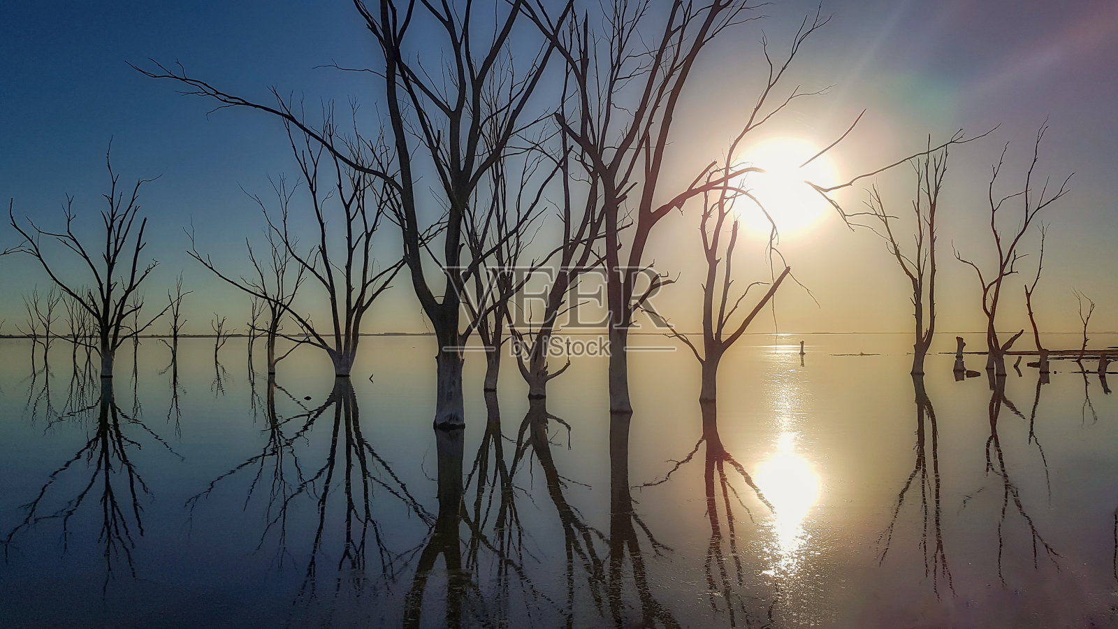 湖中的枯树和落日的剪影照片摄影图片