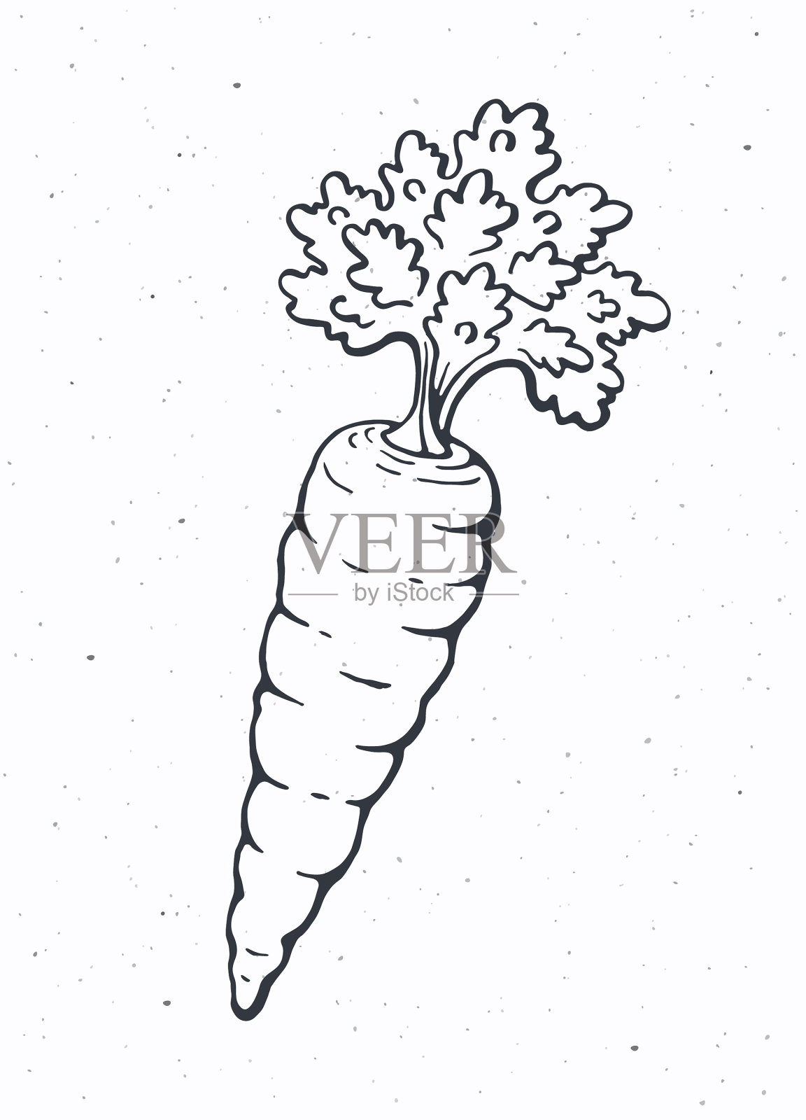 有茎的胡萝卜是素食插画图片素材