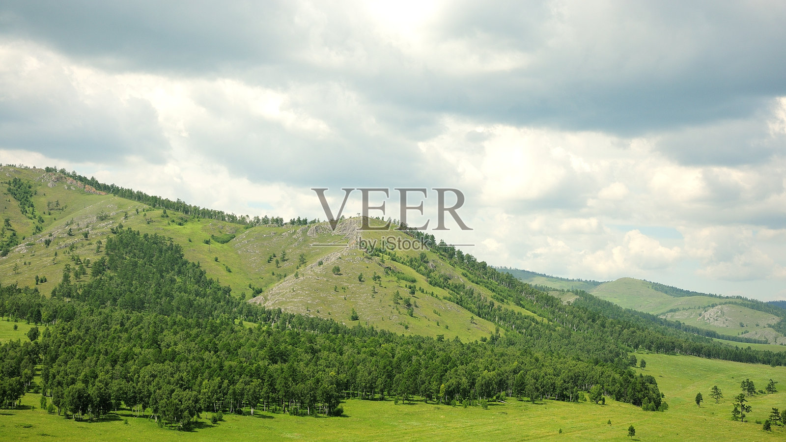 山坡上长满了稀疏的低矮灌木。照片摄影图片