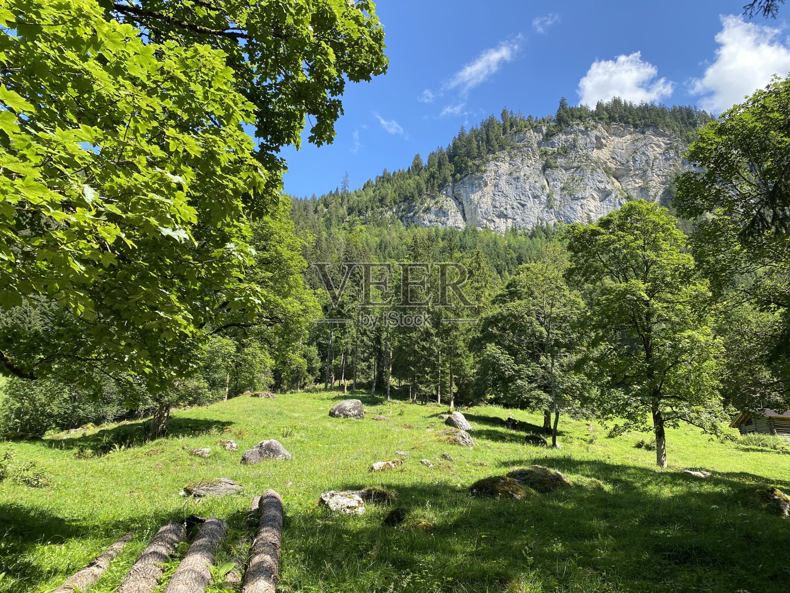 瑞士伯尔尼布里恩茨州的吉斯巴赫自然公园和伯尔尼阿尔卑斯山脉山坡上的混交林和稀疏的树木。照片摄影图片