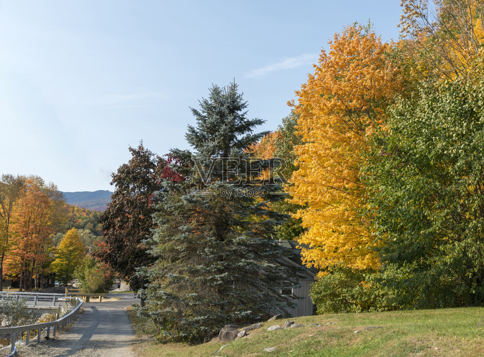 纽约州北部阿迪朗达克的秋天树叶照片摄影图片