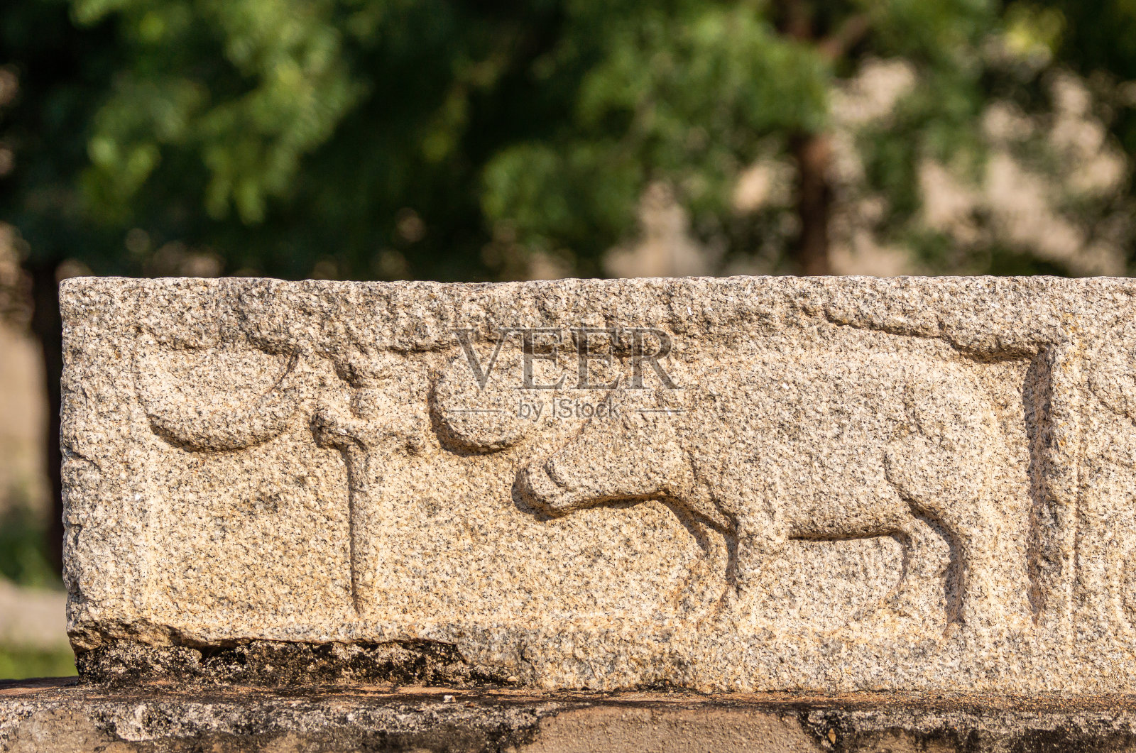 印度卡纳塔克邦，汉比，皇家圈地，用石头雕刻的野猪。照片摄影图片