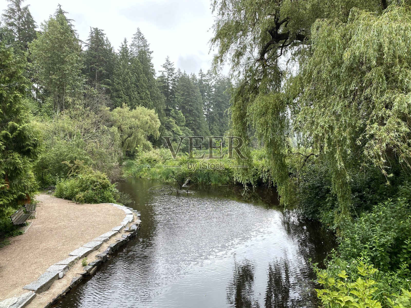 公园小径照片摄影图片