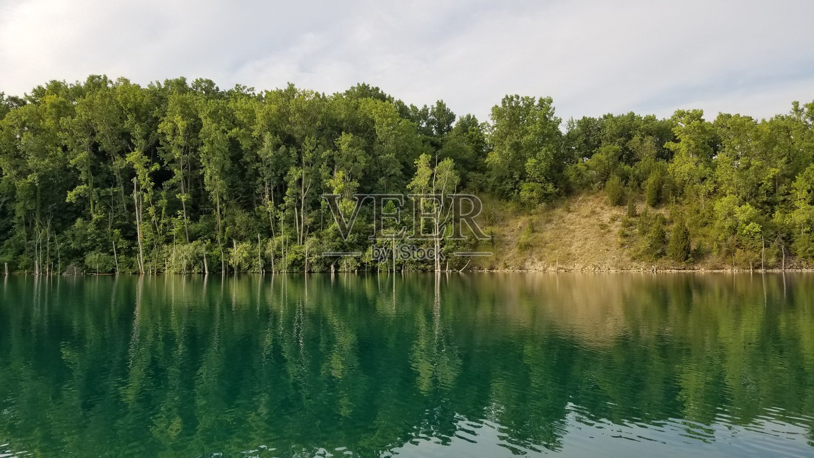 树反射2照片摄影图片