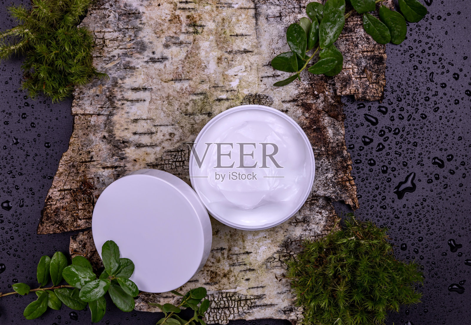 一瓶奶油放在一块桦树皮上，上面有苔藓和越橘叶，还有水滴。天然化妆品的概念照片摄影图片