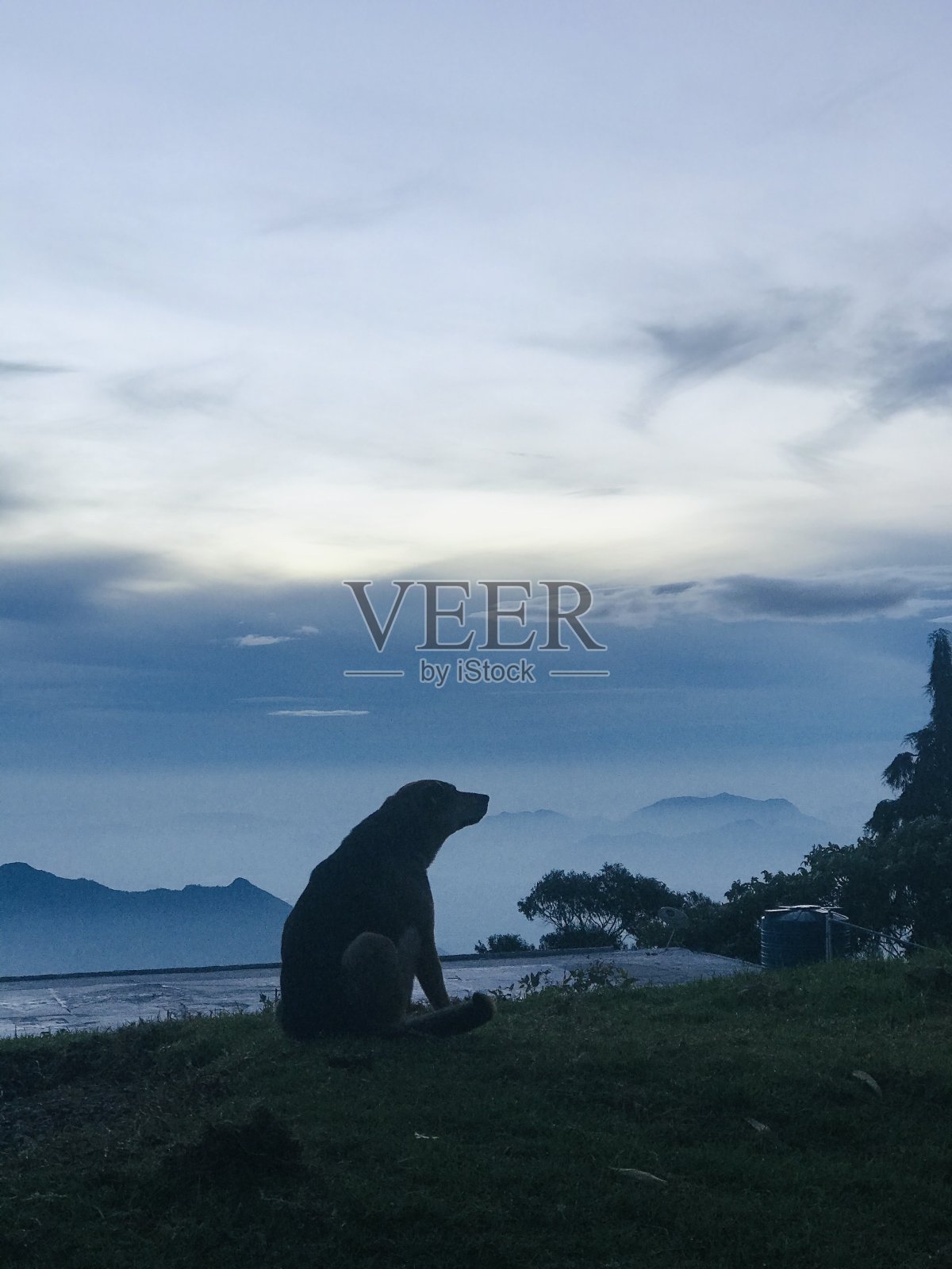 在高山上。照片摄影图片