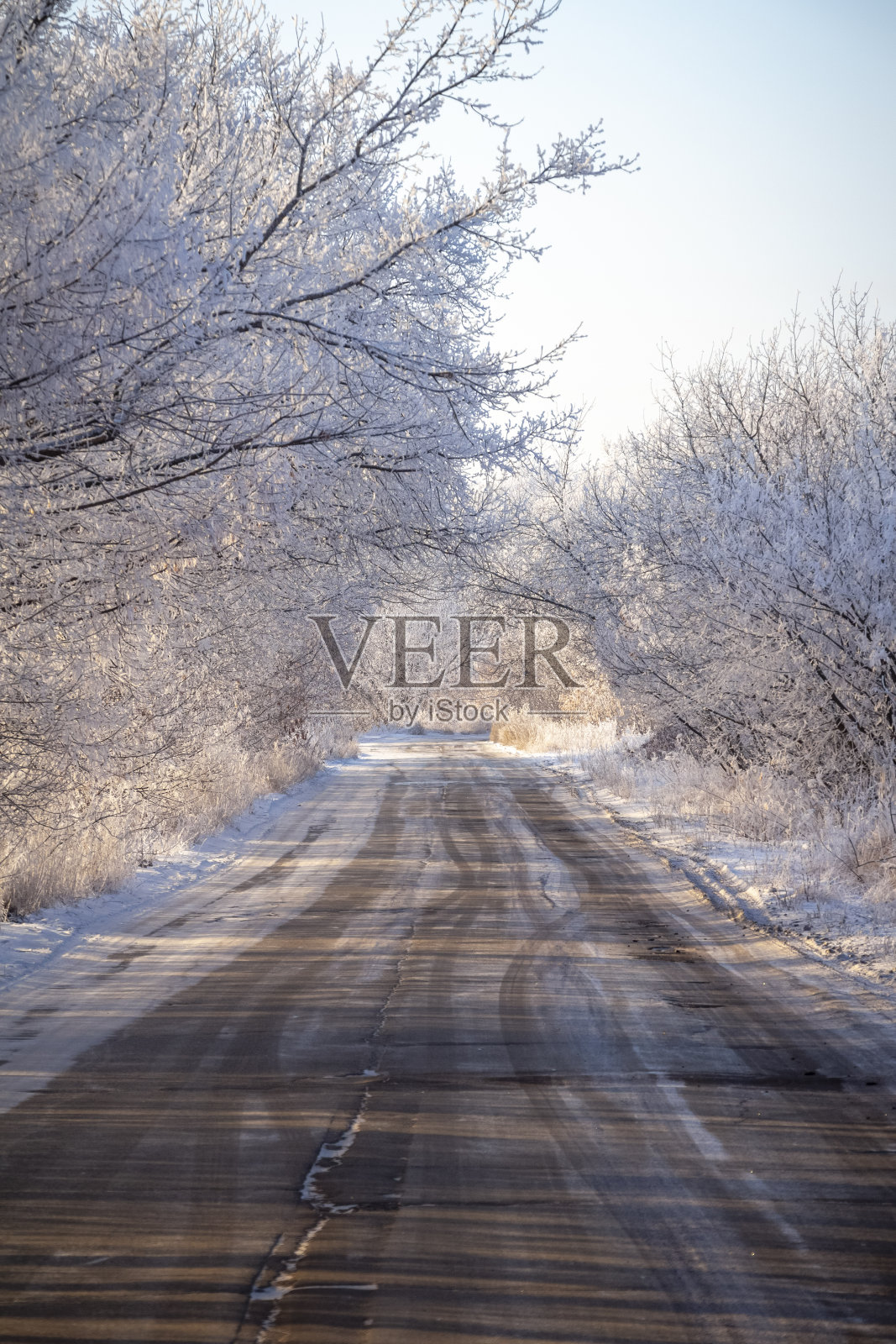 穿过冬天森林的路照片摄影图片