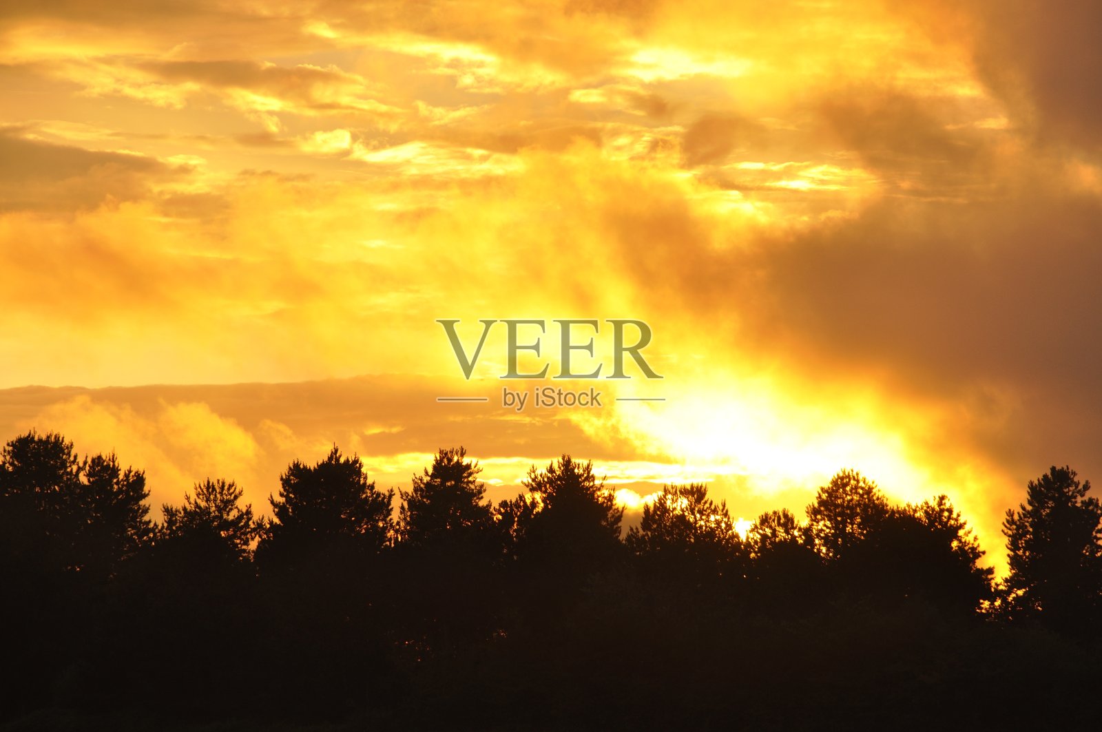 布列塔尼Plérin的日落照片摄影图片