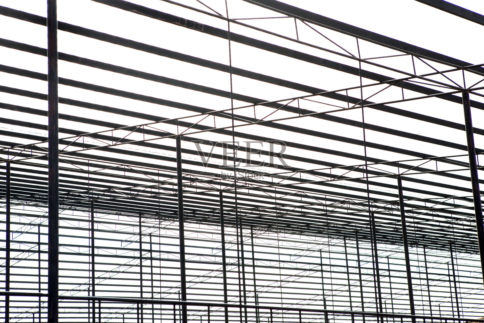 屋顶钢框架与白色透明板照片摄影图片