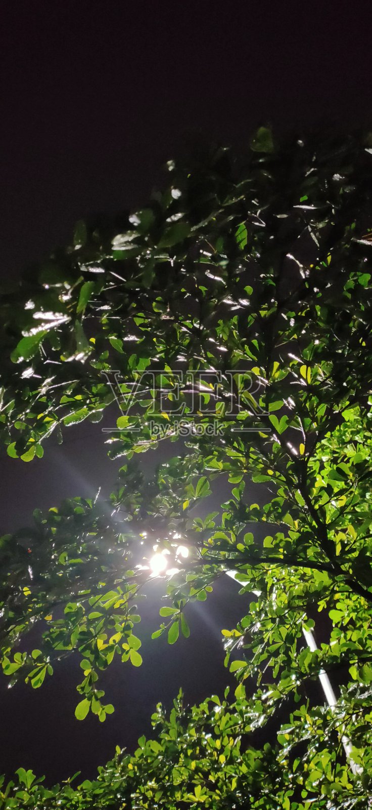 路灯照片摄影图片