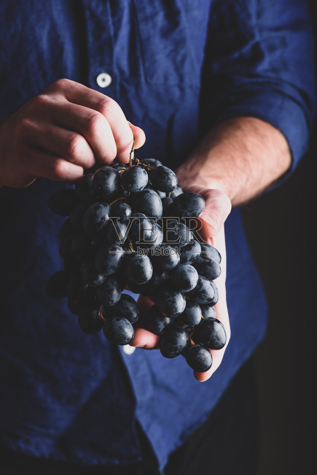 蓝葡萄在男人的手中照片摄影图片