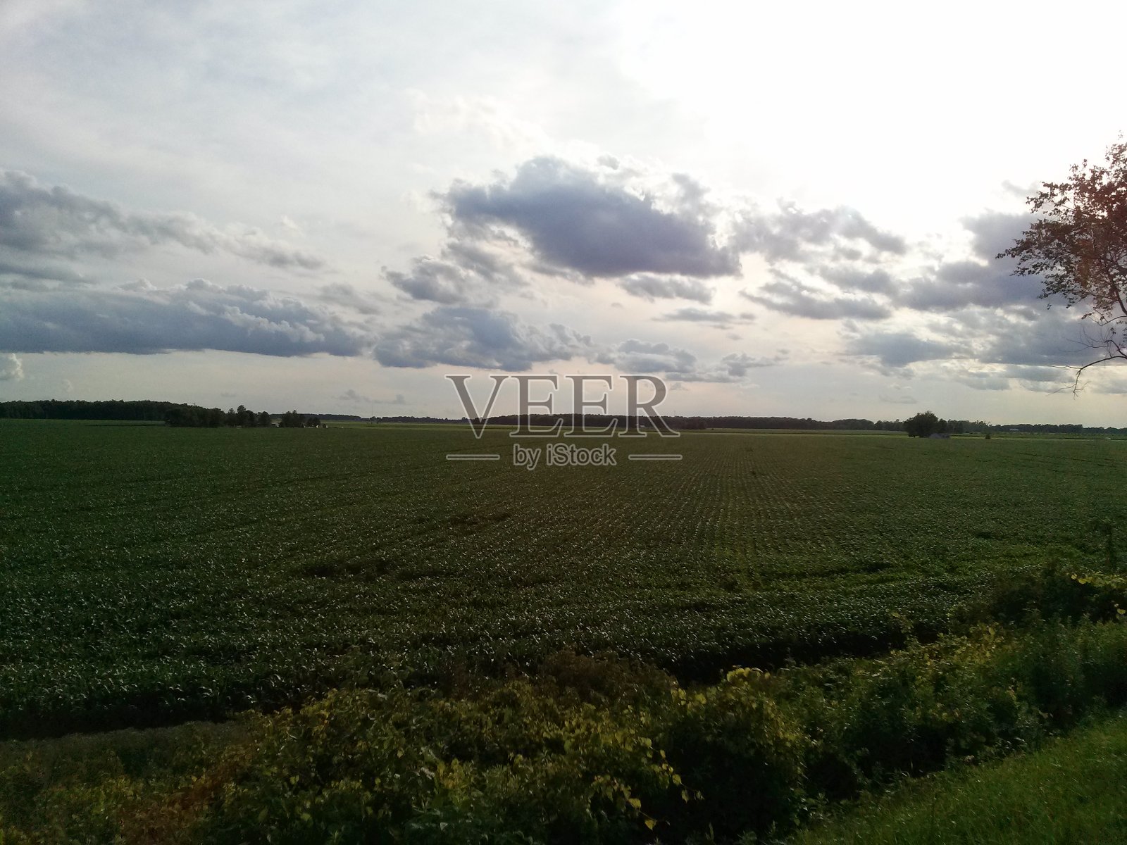 开放领域2照片摄影图片