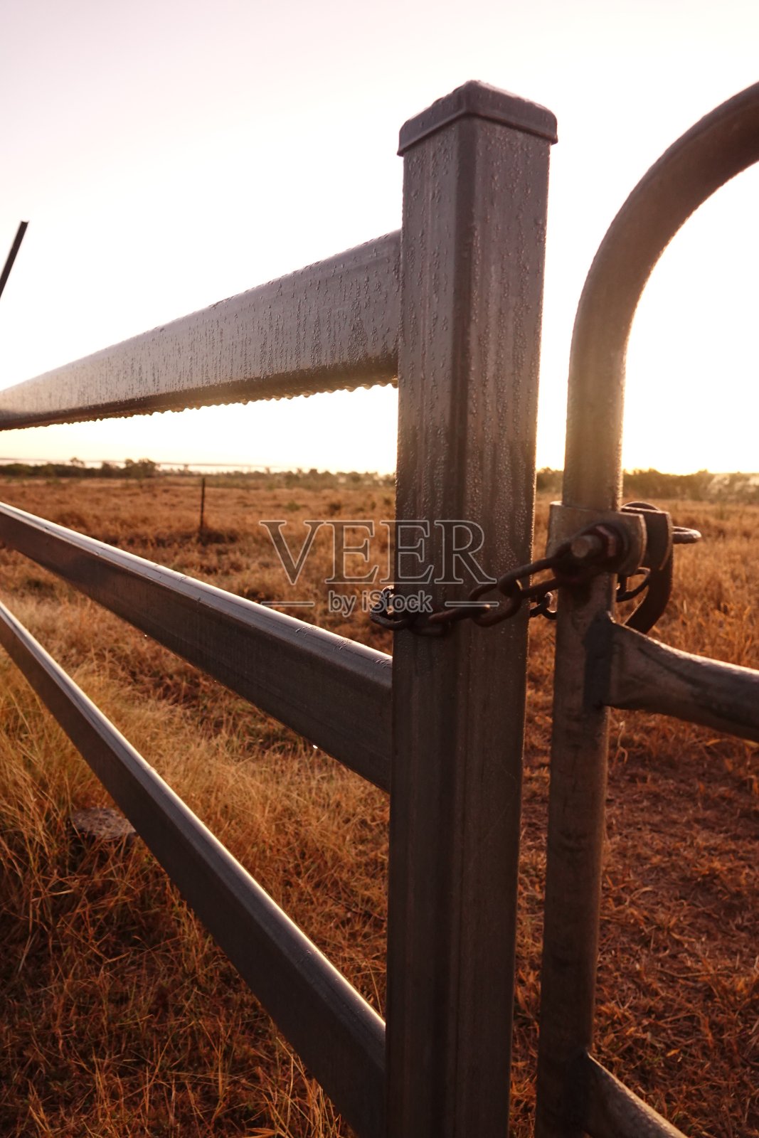 夕阳下的铁门和铁链照片摄影图片