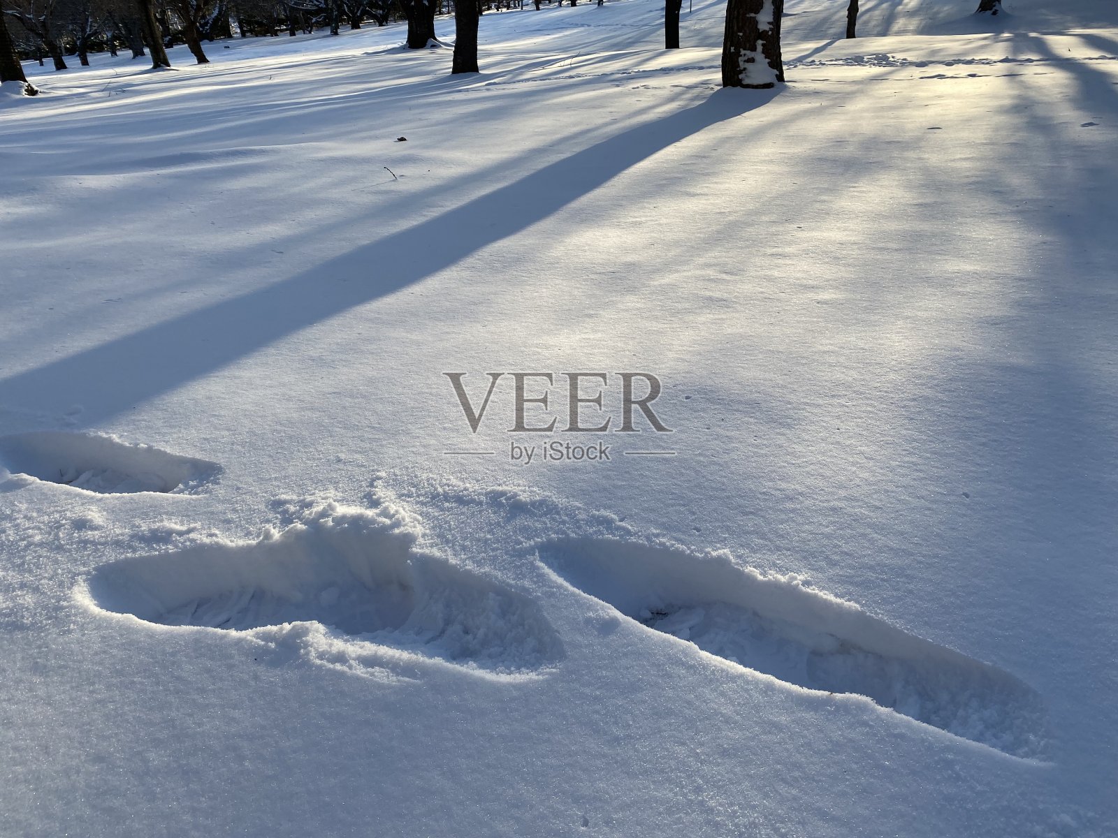 雪的场景照片摄影图片