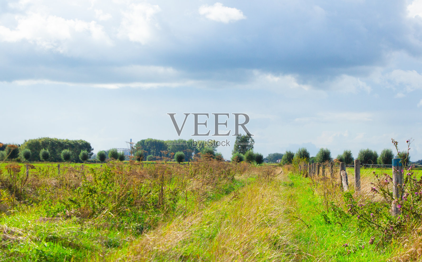 荷兰风景之间的小径照片摄影图片