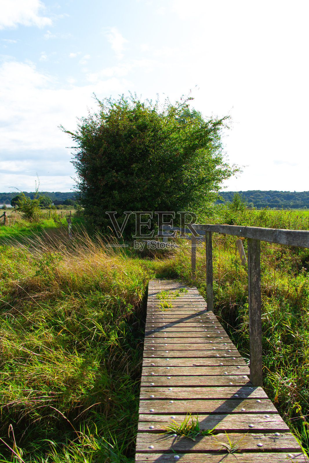 木桥上有一条沟照片摄影图片