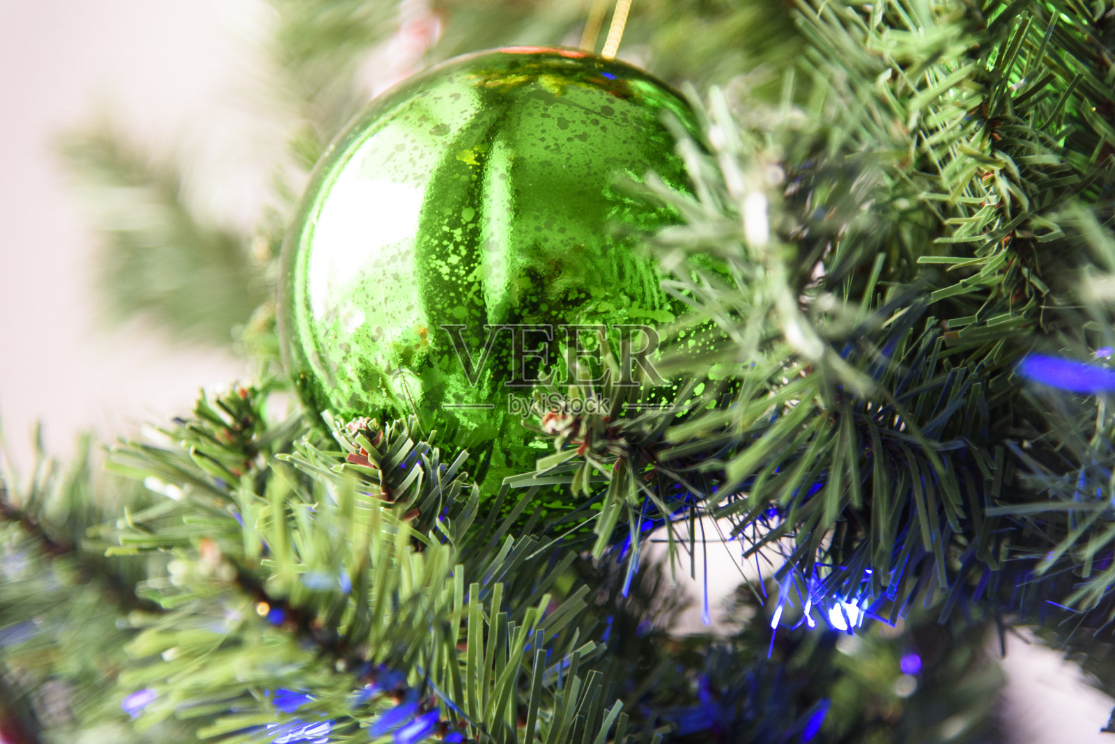 新年的树照片摄影图片