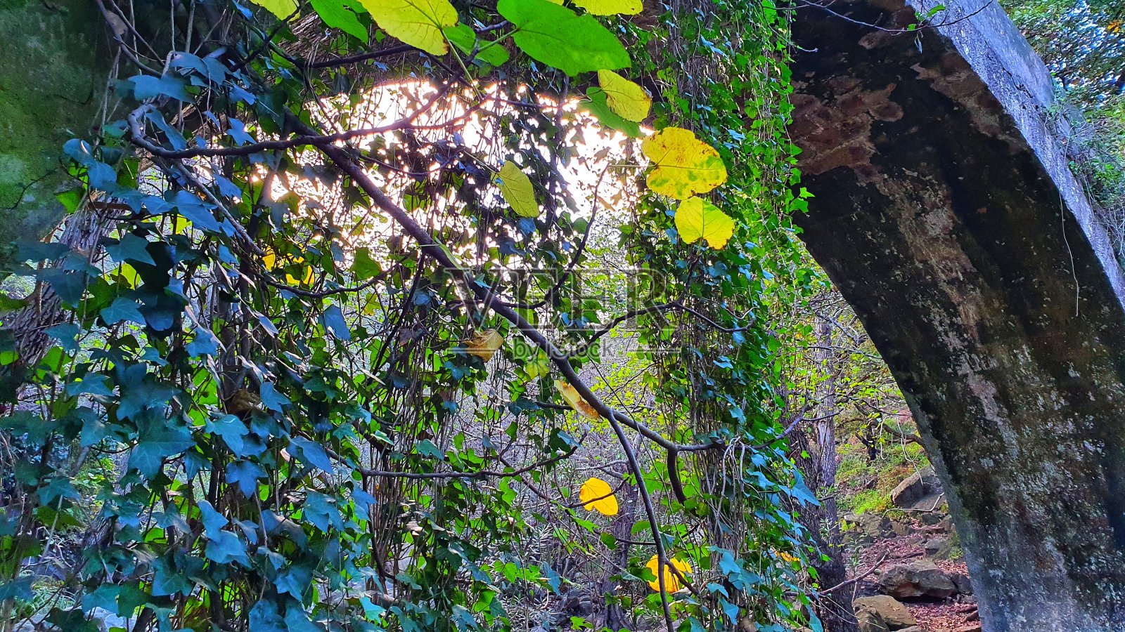 桥照片摄影图片