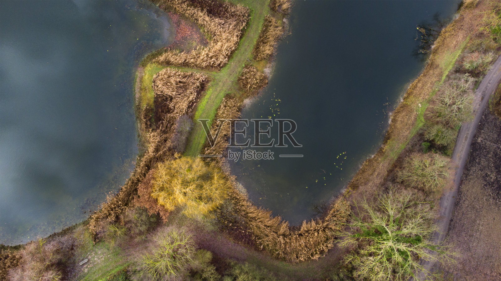 鱼塘-鸟瞰图照片摄影图片