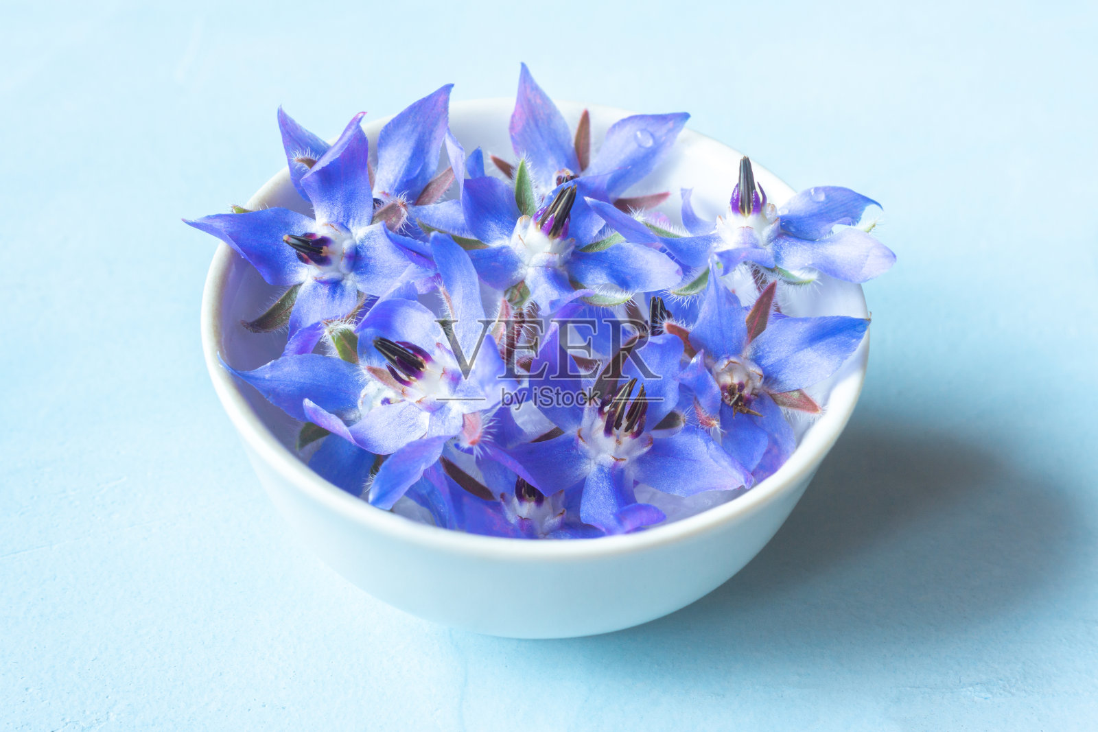 在蓝色背景上有琉璃苣花的碗照片摄影图片