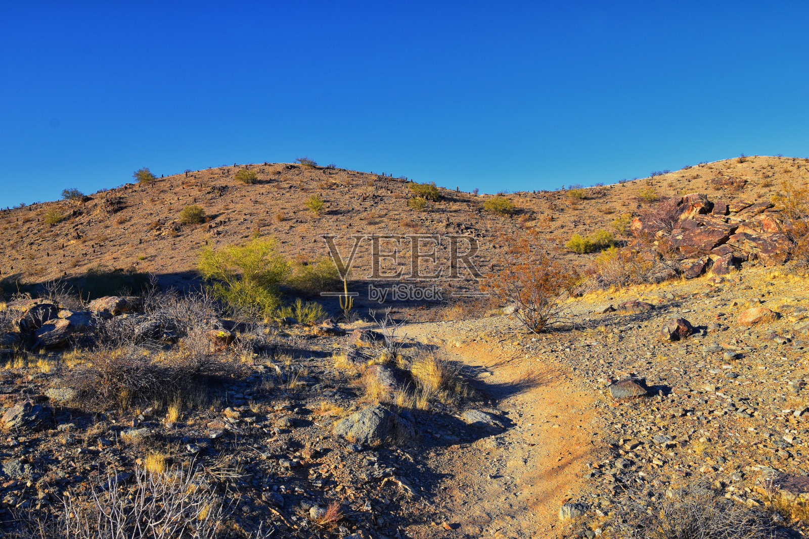 南山公园和保护区，皮马峡谷徒步旅行路线，凤凰城，南亚利桑那沙漠。美国。照片摄影图片